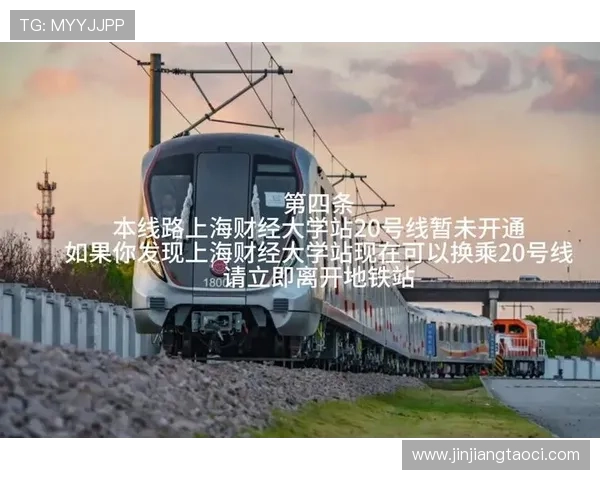 壹号娱乐公司在行业中的发展历程与未来创新方向探讨 壹号娱乐公司在行业中的发展历程与未来创新方向探讨